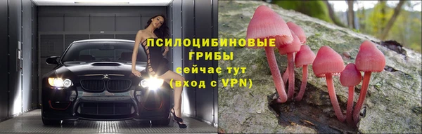хмурый Магас