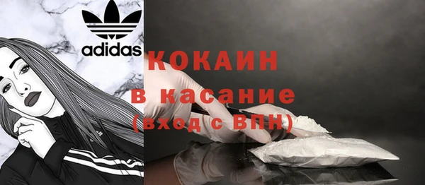 хмурый Магас