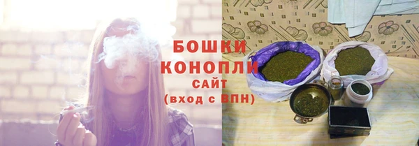 хмурый Магас