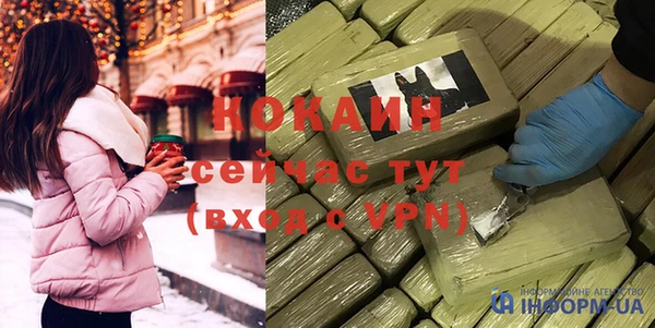 хмурый Магас