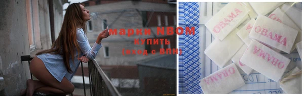 хмурый Магас