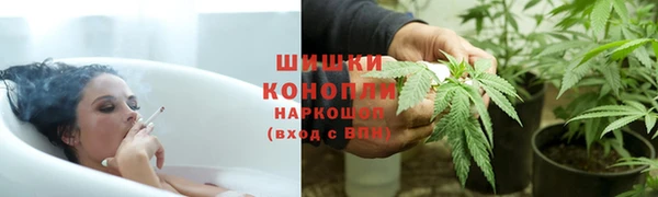 хмурый Магас