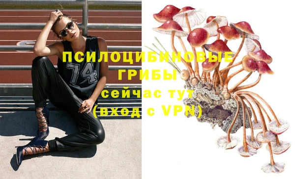 марки lsd Майский